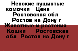 Невские пушистые комочки › Цена ­ 3 500 - Ростовская обл., Ростов-на-Дону г. Животные и растения » Кошки   . Ростовская обл.,Ростов-на-Дону г.